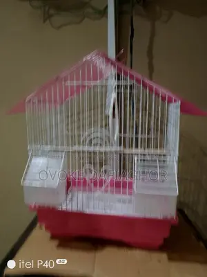 Fancy Bird Cage