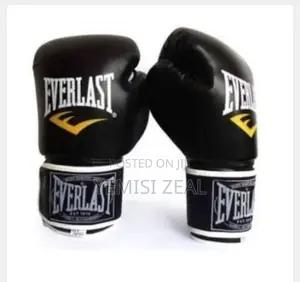 Everlast Boxing Gloves (Black)