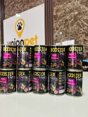 Booster Puppy