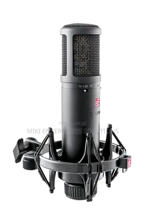 Se Electronics Se2300 Condenser Microphone