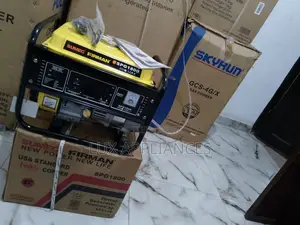 Fast Selling Quality Firman Gen