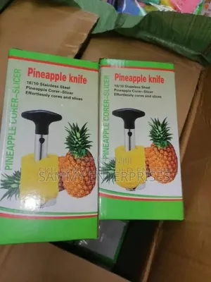 Pineapple Cutter