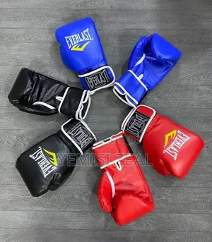 Leather Everlast Boxing Gloves
