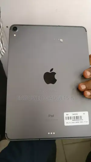 Apple iPad Pro 11 (2018) 64 GB Gray