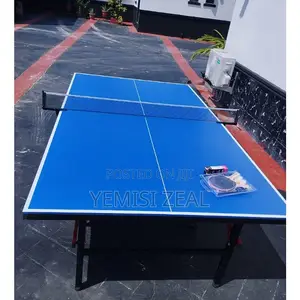 Outdoor Table Tennis Board