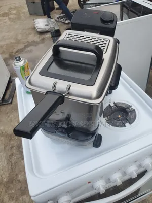 Tefal Deep Fryer That Filters Preserve the Oil for Next Use