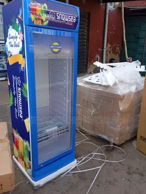 Display Chiller 300l
