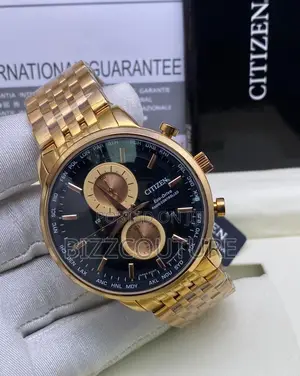Original Citizen Eco-Drive Radiocontrolled Silver Chain Watc