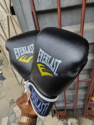 Everlast Boxing Gloves