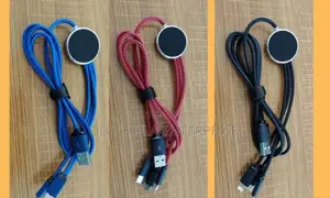 Long Wire 3 Pin Charger