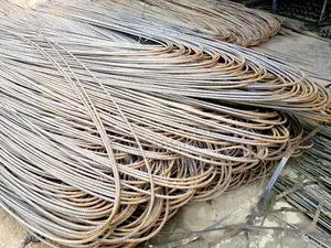 Iron Rod TMT / Tiger,Seg.