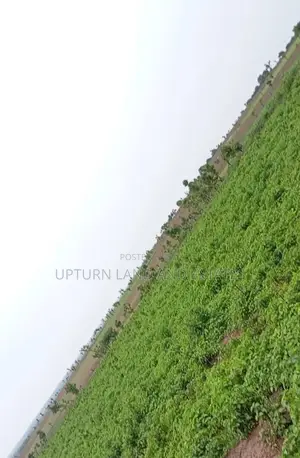 Uprooted Land for Sale Ready for Immediate Farming at Cheapa