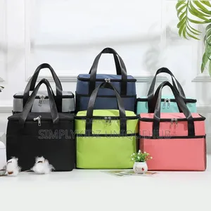 Handheld Picnic Bag