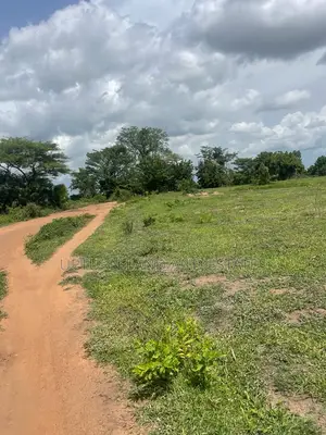 581 Acres on Lagos Ibadan Express Way at Cheaper Rate.