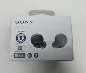 Sony Earbuds C500