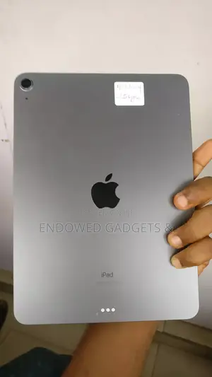 Apple iPad Air (2020) 256 GB Gray