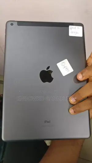 Apple iPad 10.2 (2019) 128 GB Gray