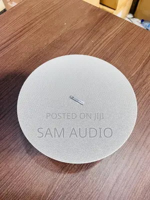 Lucky Tone Frameless Ceiling Speaker