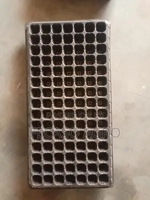 Seed Trays, 105, 200, 128 Ceels