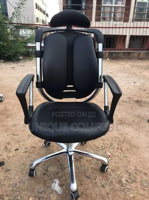 Imported Executive Ergonomic Kidney Chair