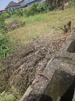 Fenced and Gated Land at Lekki Conservation Road Chevron