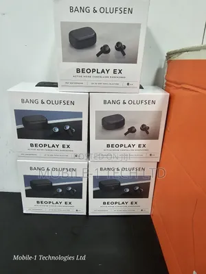 Bang and Olufsen Beoplay Ex Active Noise Cancelling Earbuds