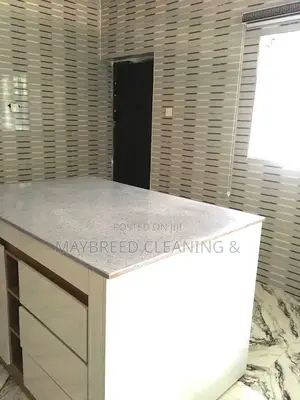Satisfying After Builders Cleaning Service