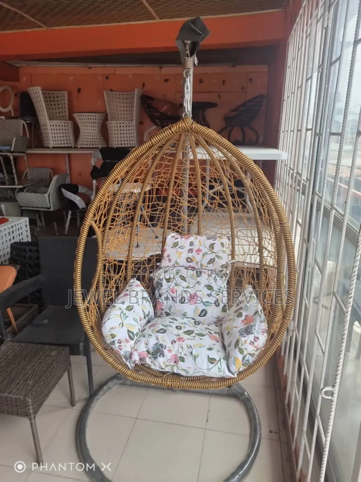 Basket Swing/Hammock