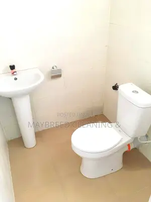 Very Detailed House Cleaning Service From the Professionals.