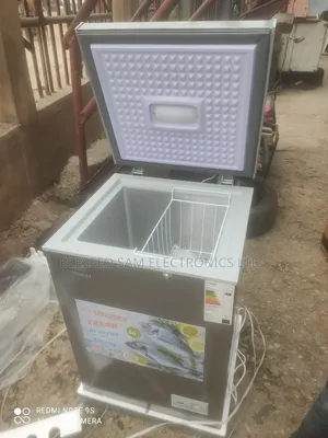 Original >Snowsea 100 L Deep Freezer Fast Freezing Ice Maker