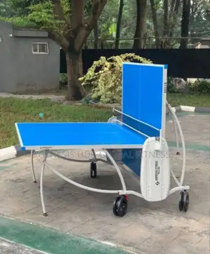Pro Lite Outdoor Table Tennis Board