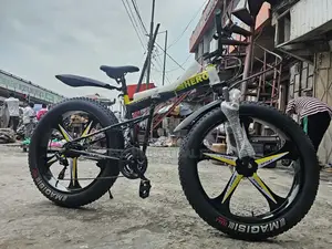 Fat Tyre Alloyed Rim Bicycle G90