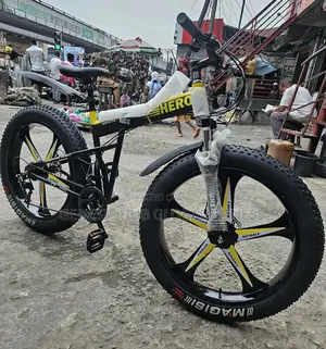 Fat Tyre Bicycle (Alloyed Rim) Y50