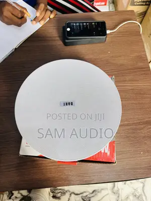 30watts Frameless Ceiling Speaker