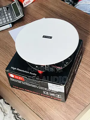 Tundra Wi-Fi Ceiling Speaker