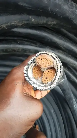Nigerchin 240mm X 3core Armoured Cable