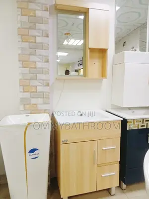 Cabinet Basin and Mirror