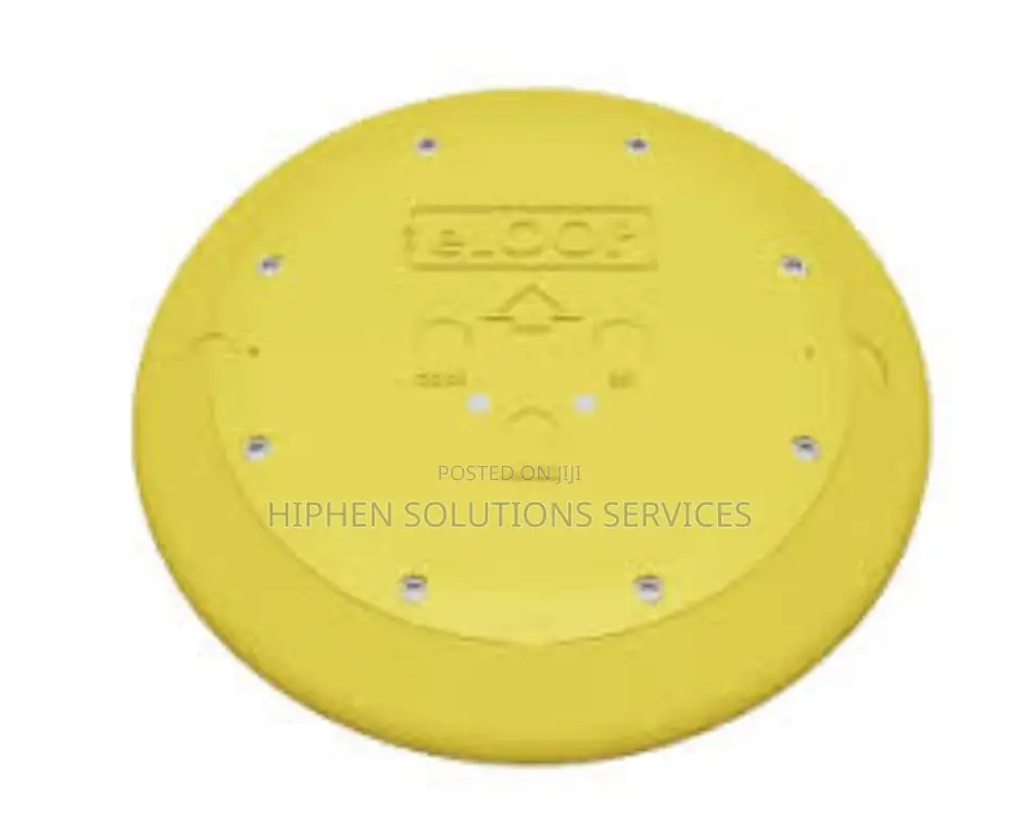 Portable Wireless Vehicle Detector
