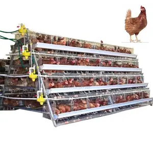 160 Capacity Layer Battery Cages For 500-40,000 Chickens