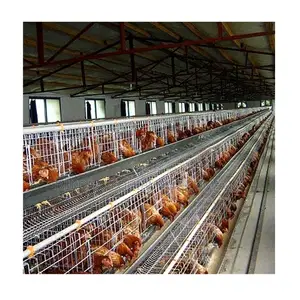 Galvanized Steel 96 Layer Battery Cages: 500-40,000 Chickens