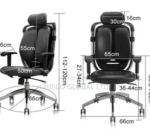 Office Chair (Orthopedic)