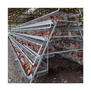 Galvanized Steel Layer Battery Cages: 500-40,000 Chickens”