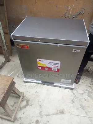 LG Freezer Model 250