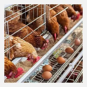 Increase Egg Production With Our 96birds Capacity Layer Cage