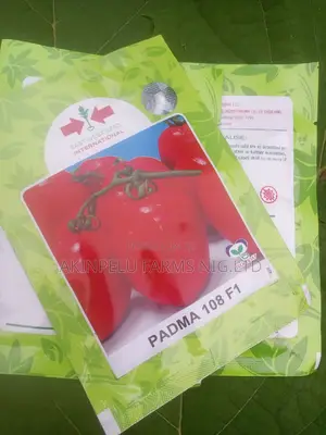 PADMA F1-Tomato Seed