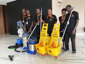 Hotel Cleaners