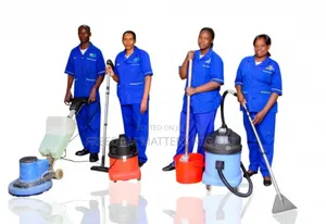 Experienced Cleaning Services