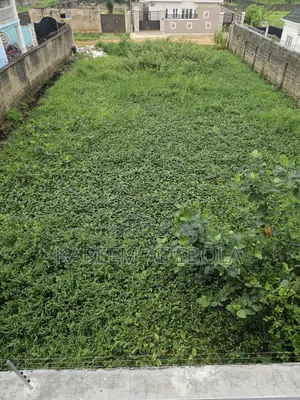 Residential Land at Apampa Basorun Gra Jericho Ibadan