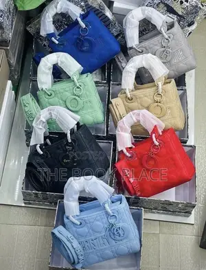 Christian Dior Luxury Bag