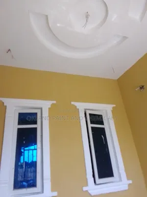 Painter Maitama Service